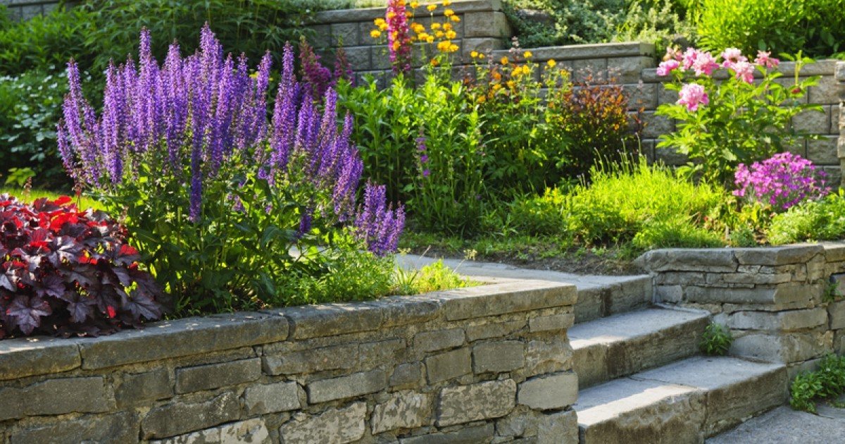 Een beplantingsplan voor de tuin