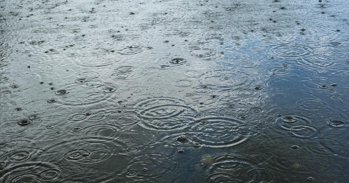 Hagel in de tuin